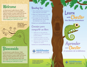 image of Learn with Chester the Library Chameleon brochure in English and Spanish